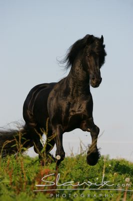 staj_ufonek1418.jpg